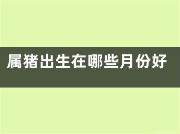 属猪出生在哪些月份好