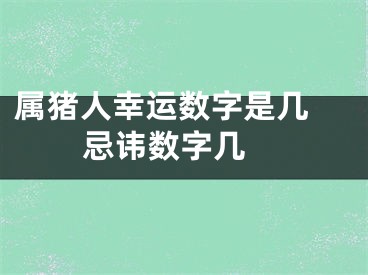 属猪人幸运数字是几 忌讳数字几 