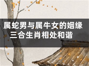 属蛇男与属牛女的姻缘 三合生肖相处和谐