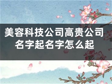美容科技公司高贵公司名字起名字怎么起