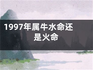 1997年属牛水命还是火命