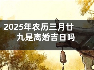 2025年农历三月廿九是离婚吉日吗