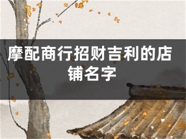 摩配商行招财吉利的店铺名字