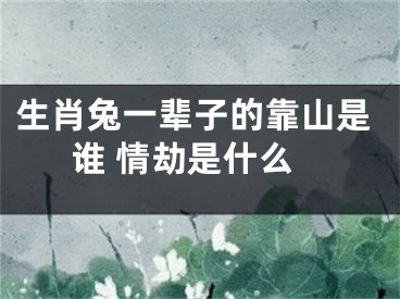 生肖兔一辈子的靠山是谁 情劫是什么