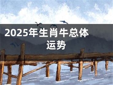 2025年生肖牛总体运势