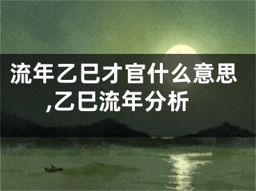 流年乙巳才官什么意思,乙巳流年分析