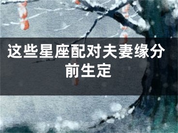 这些星座配对夫妻缘分前生定