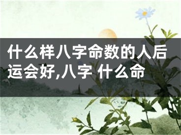 什么样八字命数的人后运会好,八字 什么命