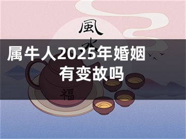 属牛人2025年婚姻有变故吗
