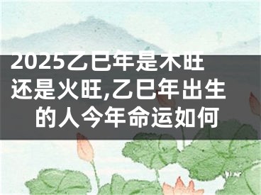 2025乙巳年是木旺还是火旺,乙巳年出生的人今年命运如何