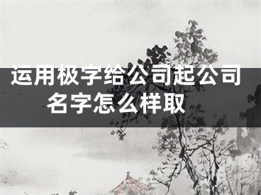 运用极字给公司起公司名字怎么样取 