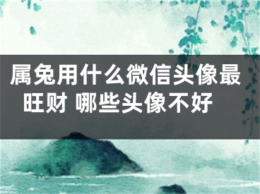 属兔用什么微信头像最旺财 哪些头像不好