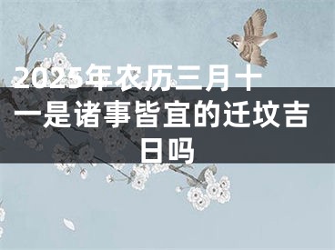 2025年农历三月十一是诸事皆宜的迁坟吉日吗