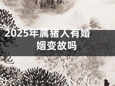 2025年属猪人有婚姻变故吗