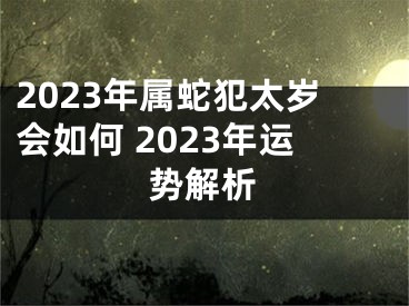 2023年属蛇犯太岁会如何 2023年运势解析