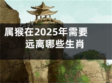 属猴在2025年需要远离哪些生肖