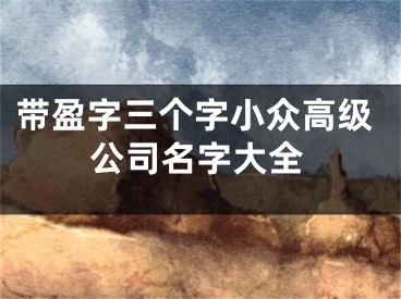带盈字三个字小众高级公司名字大全