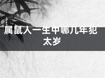 属鼠人一生中哪几年犯太岁