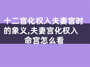 十二宫化权入夫妻宫时的象义,夫妻宫化权入命宫怎么看