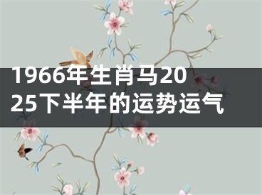1966年生肖马2025下半年的运势运气