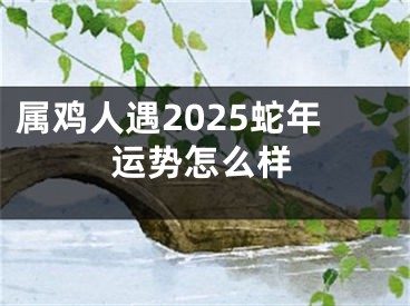属鸡人遇2025蛇年运势怎么样