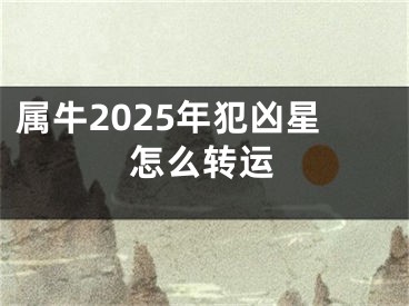 属牛2025年犯凶星怎么转运