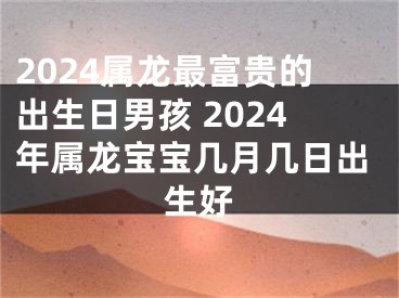 2024属龙最富贵的出生日男孩 2024年属龙宝宝几月几日出生好