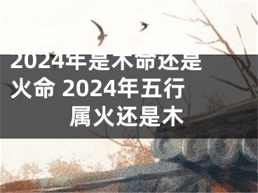 2024年是木命还是火命 2024年五行属火还是木