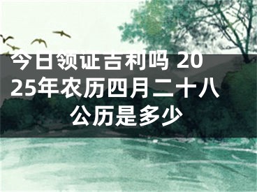 今日领证吉利吗 2025年农历四月二十八公历是多少