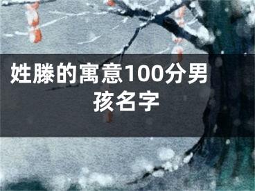 姓滕的寓意100分男孩名字