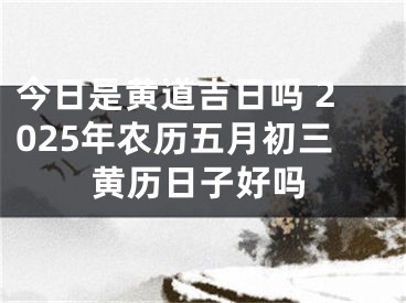 今日是黄道吉日吗 2025年农历五月初三黄历日子好吗