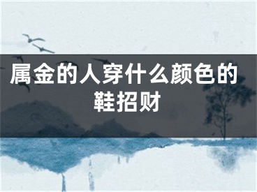 属金的人穿什么颜色的鞋招财