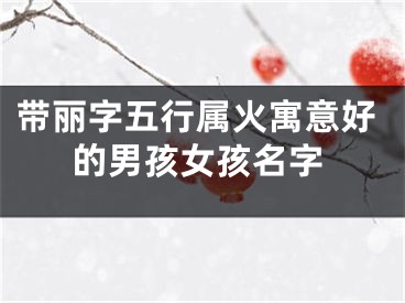 带丽字五行属火寓意好的男孩女孩名字