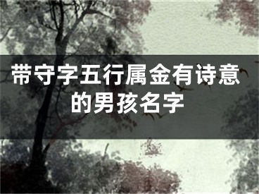 带守字五行属金有诗意的男孩名字