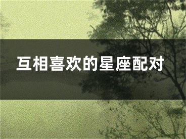 互相喜欢的星座配对
