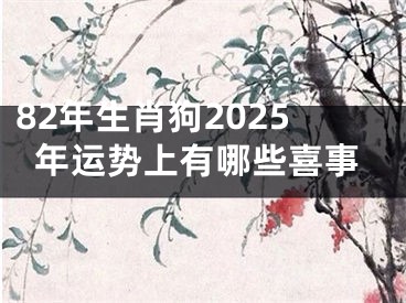 82年生肖狗2025年运势上有哪些喜事