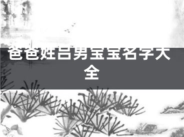 爸爸姓吕男宝宝名字大全