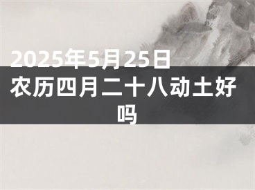 2025年5月25日农历四月二十八动土好吗
