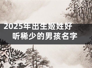 2025年出生姬姓好听稀少的男孩名字