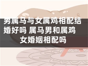 男属马与女属鸡相配结婚好吗 属马男和属鸡女婚姻相配吗