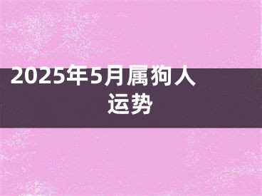 2025年5月属狗人运势