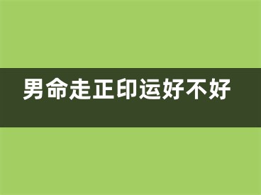 男命走正印运好不好