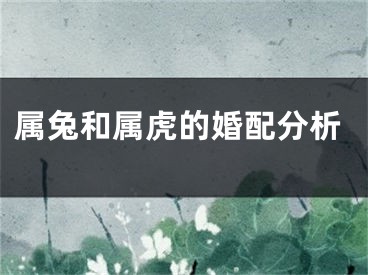 属兔和属虎的婚配分析