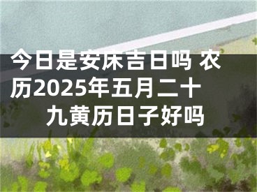 今日是安床吉日吗 农历2025年五月二十九黄历日子好吗
