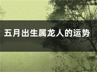 五月出生属龙人的运势