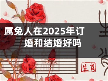 属兔人在2025年订婚和结婚好吗