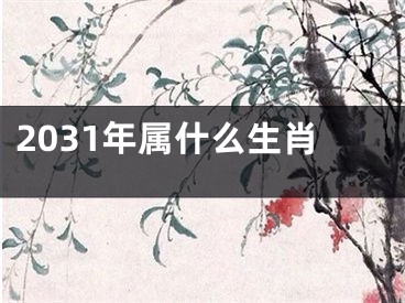 2031年属什么生肖
