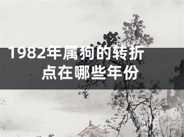 1982年属狗的转折点在哪些年份
