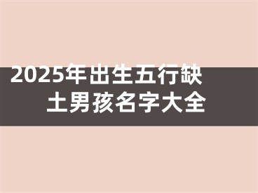 2025年出生五行缺土男孩名字大全