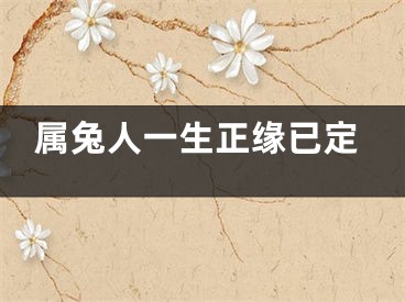 属兔人一生正缘已定